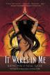 Cover art for IT WAKES IN ME
