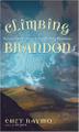 Cover art for CLIMBING BRANDON