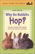 Cover art for WHY DO RABBITS HOP?