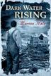 Cover art for DARK WATER RISING