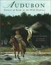 Cover art for AUDUBON