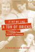 Cover art for IT HIT ME LIKE A TON OF BRICKS