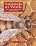 Cover art for ANIMALS AT WORK