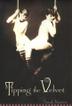 Cover art for TIPPING THE VELVET
