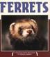 Cover art for FERRETS