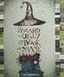 Cover art for THE WIZARD, THE UGLY, AND THE BOOK OF SHAME