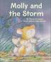 Cover art for MOLLY AND THE STORM