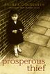 Cover art for THE PROSPEROUS THIEF