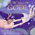 Cover art for HOW BIG IS GOD?