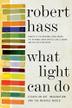 Cover art for WHAT LIGHT CAN DO