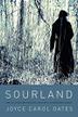 Cover art for SOURLAND