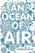 Cover art for AN OCEAN OF AIR