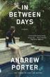 Cover art for IN BETWEEN DAYS
