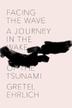 Cover art for FACING THE WAVE