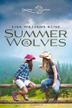 Cover art for SUMMER OF THE WOLVES