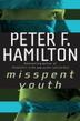 Cover art for MISSPENT YOUTH