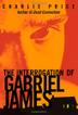 Cover art for THE INTERROGATION OF GABRIEL JAMES