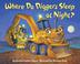 Cover art for WHERE DO DIGGERS SLEEP AT NIGHT?
