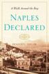 Cover art for NAPLES DECLARED