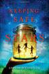 Cover art for KEEPING SAFE THE STARS