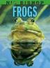 Cover art for NIC BISHOP FROGS