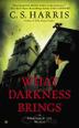 Cover art for WHAT DARKNESS BRINGS