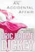 Cover art for AN ACCIDENTAL AFFAIR