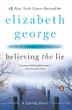 Cover art for BELIEVING THE LIE