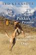 Cover art for PUKKA'S PROMISE