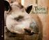 Cover art for THE TAPIR SCIENTIST