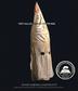 Cover art for THEY CALLED THEMSELVES THE KKK