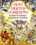 Cover art for HOW MUCH IS A MILLION?