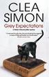 Cover art for GREY EXPECTATIONS