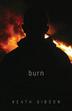 Cover art for BURN