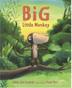Cover art for BIG LITTLE MONKEY