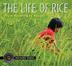 Cover art for THE LIFE OF RICE