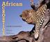 Cover art for AFRICAN ACROSTICS