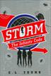 Cover art for STORM