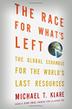 Cover art for THE RACE FOR WHAT'S LEFT