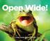 Cover art for OPEN WIDE!
