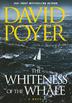 Cover art for THE WHITENESS OF THE WHALE