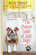 Cover art for THE PATRON SAINT OF LOST DOGS