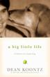 Cover art for A BIG LITTLE LIFE