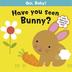 Cover art for HAVE YOU SEEN BUNNY?