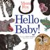 Cover art for HELLO BABY!