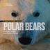 Cover art for FACE TO FACE WITH POLAR BEARS