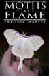 Cover art for MOTHS TO FLAME