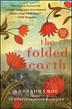 Cover art for THE FOLDED EARTH