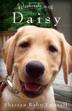Cover art for WEEKENDS WITH DAISY