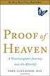 Cover art for PROOF OF HEAVEN